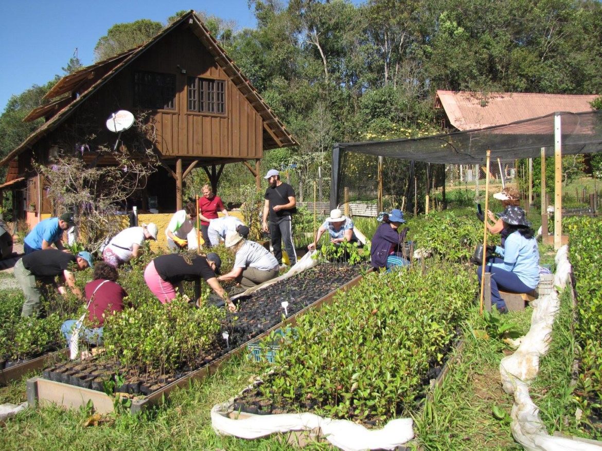 29352106_1824143884271048_5952371442705274916_o