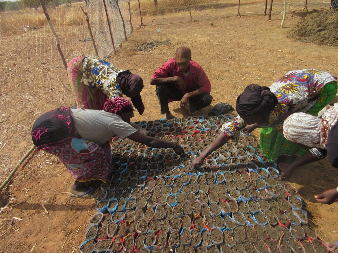 26240094_1746043175414453_9071848446029090783_o