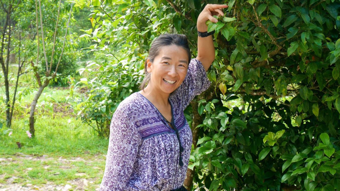 13490633_1187688797916563_9005893994636945700_o