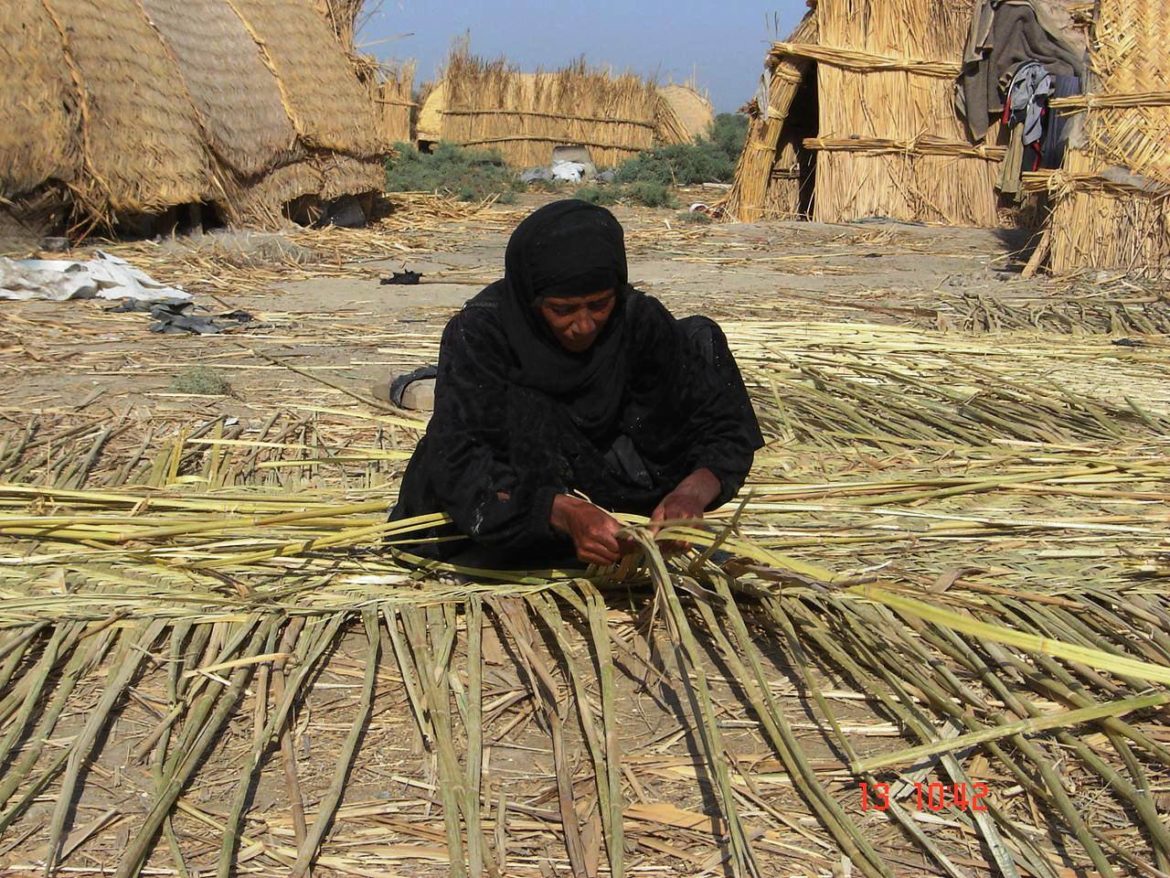 16178388_1387690337916407_3757371238916769901_o